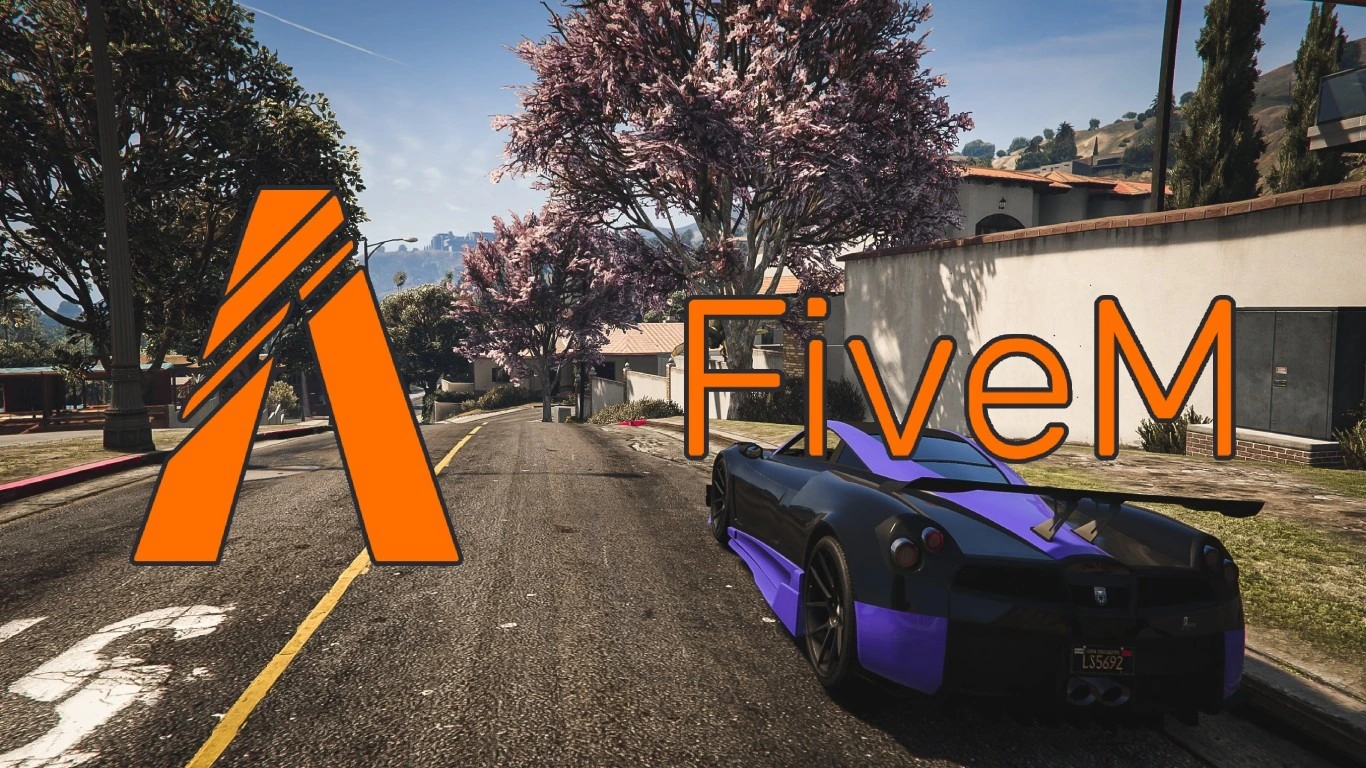 FiveM (GTA V)